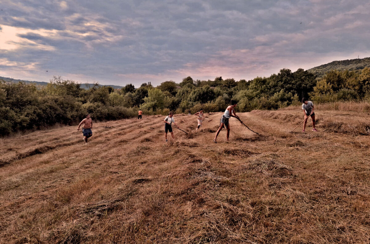4.-Work-on-the-field—cleaning-the-grass-with-local-kids,-,-Oslen-Krivodol-village,-Bulgaria—Copyright—Nevena-Yovcheva